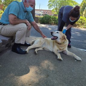 Bild von VCA Albemarle Veterinary Health Care Center