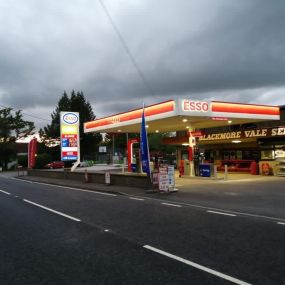 Bild von Blackmore Vale Services (Esso & Londis)