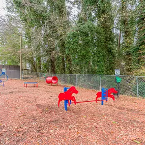 Pet Play Area at Balfour Chastain