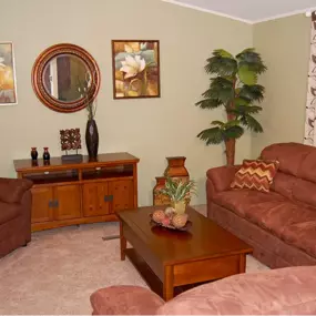 Living Room Interior