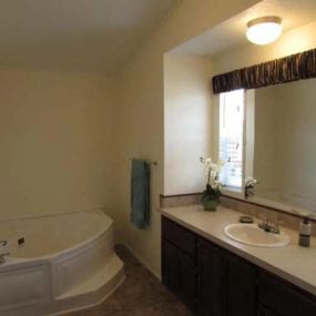 a bathroom with a tub sink and mirror