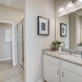 Bild von Stanley Martin Homes at Groves at Whitemarsh