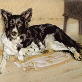 Bild von John Twinning Artist