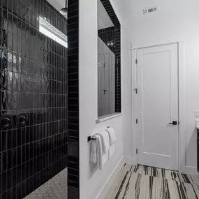 Walk in Shower Options