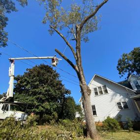 Bild von A&O Tree Service LLC