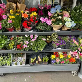 Bild von The Topsham Green Grocer & Florist