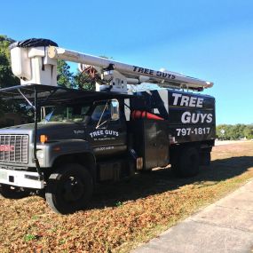 Bild von Tree Guys of St Augustine