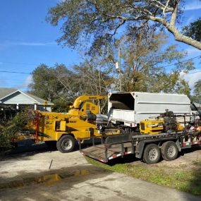 Bild von Tree Guys of St Augustine