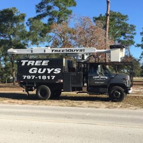 Bild von Tree Guys of St Augustine