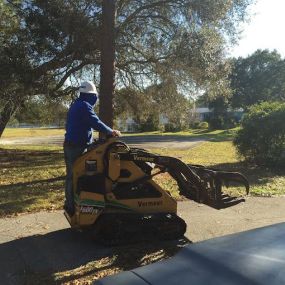 Bild von Tree Guys of St Augustine