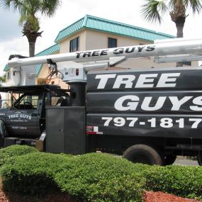 Bild von Tree Guys of St Augustine