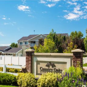 Country Oaks welcome area with manicured landscaping and branded signage in front of apartment homes with a blue sky and small white clouds