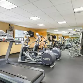 Health club  fitness center  gym