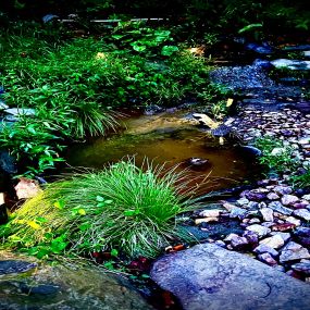 Bild von Basecamp Smoky Mountains