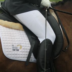 Bild von The Dressage Pony Store