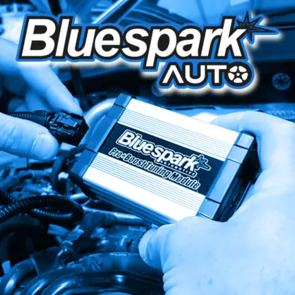 Logo de Bluesparkauto