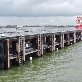 Jetty Rotterdam