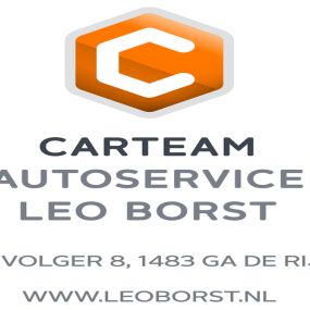 Leo Borst, Carteam Autoservice