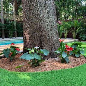 Artificial lawn Installation Fort Lauderdale