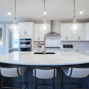 Gourmet Kitchen with White Cabinets and Pendant Lighting