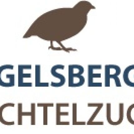 Logo od Vogelsberger Wachtelzucht GmbH