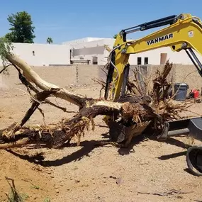 Bild von Valleywide Dig and Haul