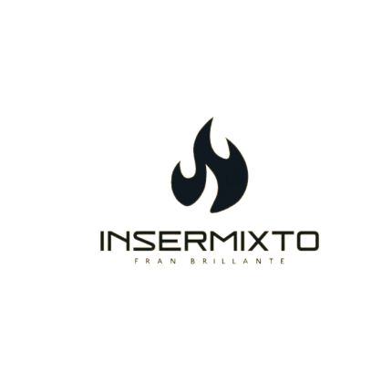 Logotyp från Insermixto Fran Brillante