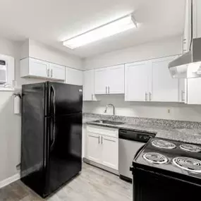 Fully Equipped Kitchen at Balfour 296