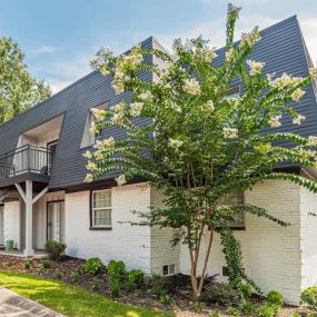 Exterior of Pines at Lawrenceville Apartments