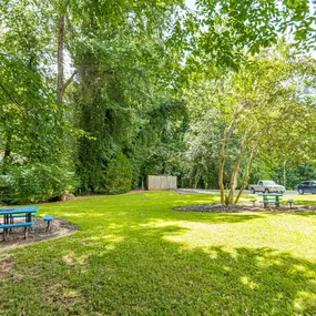 Picnic Area at Pines at Lawrenceville Apartments