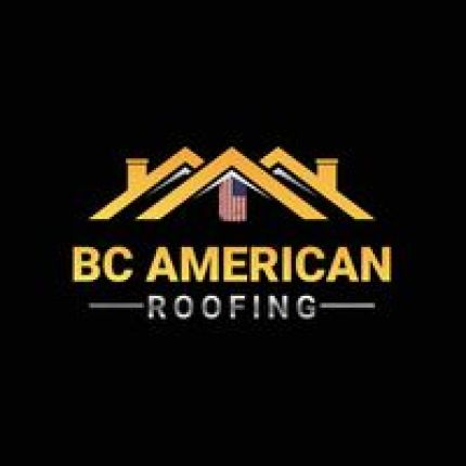 Logo from Blue Collar American Roofing LLC