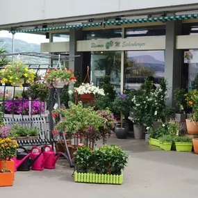 Bild von Blumen Eichenberger Horgen