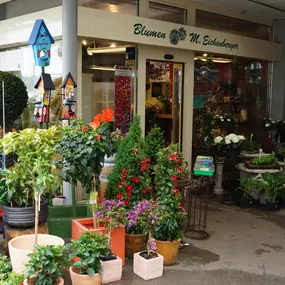 Bild von Blumen Eichenberger Horgen