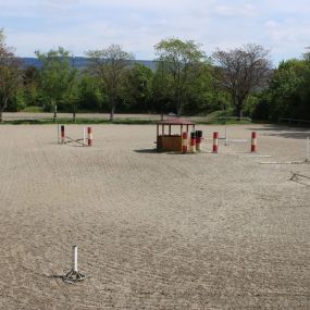 Bild von Reitschule Equo Deluxe