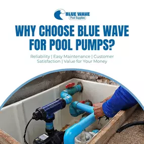 Why Choose Blue Wave Pool Supplies for Your Pool Pumps? Reliability, easy maintenance, customer satisfaction, and value for your money! At Blue Wave Pool Supplies, we offer the best pool pumps to keep your pool running smoothly. Stop by and discover why so many Memphians choose Blue Wave for their pool supply needs.