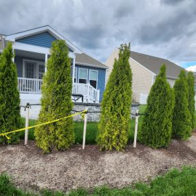 Privacy Arborvitaes: Enhance your privacy with our expert arborvitaes installation. Lush, evergreen screens creating a natural and secluded sanctuary in your outdoor space.