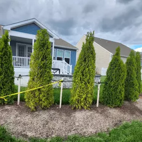 Privacy Arborvitaes: Enhance your privacy with our expert arborvitaes installation. Lush, evergreen screens creating a natural and secluded sanctuary in your outdoor space.