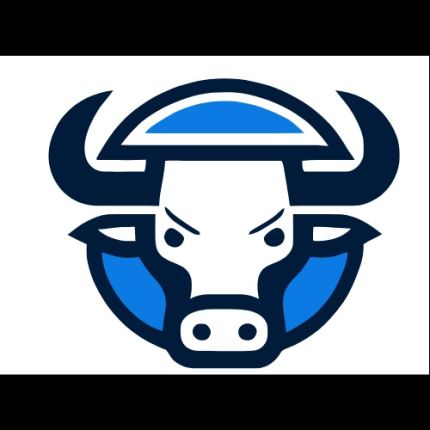 Logo von No Bull SEO