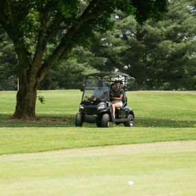 Bild von Golfcarts.com