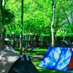 Bild von Camping El Pinajarro Hervás