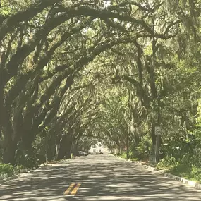 best realtor in st augustine