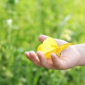 Bild von Ambulanter Kinderhospizdienst Schmetterling