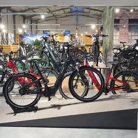 Bild von e-motion e-Bike Welt, Dreirad- & Lastenfahrrad-Zentrum Heilbronn