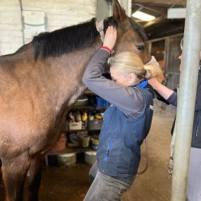 Bild von Wolds Equine Rehabilitation & Training