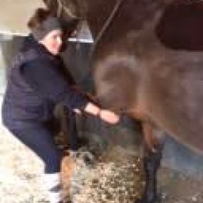 Bild von Wolds Equine Rehabilitation & Training