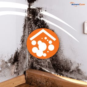 Is Mold lurking your home?