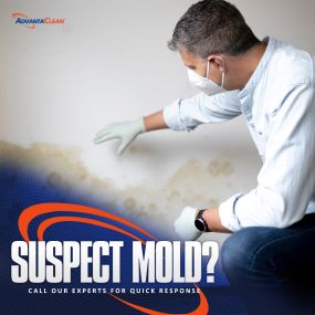 24/7 Mold Removal services