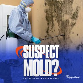 Commercial and Residential Mold Removal Services in South Florida. Call us!