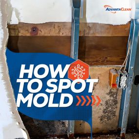 Learn how to identify mold in your home with AdvantaClean of Fort Lauderdale. Stay safe and mold-free!