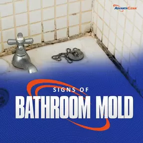 Bathroom mold and mildew often appear in tile showers and grout, evidenced by dark patches along grout lines and in corners, indicating a damp environment that encourages mold growth.